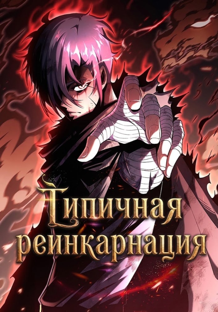 Обложка Типичная реинкарнация