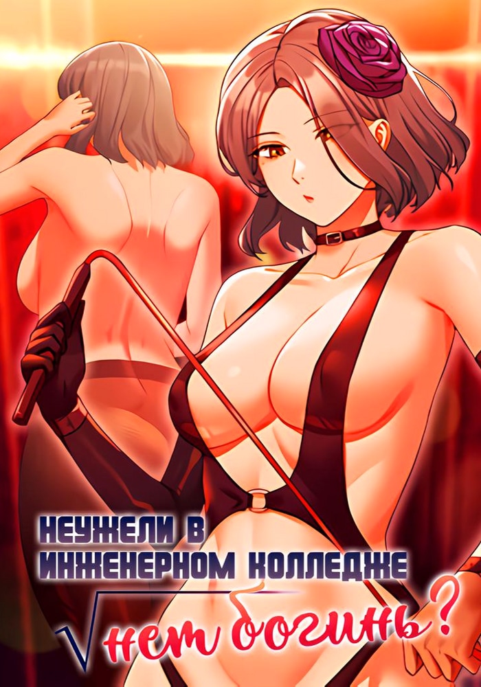 Обложка Неужели в инженерном колледже нет богинь?